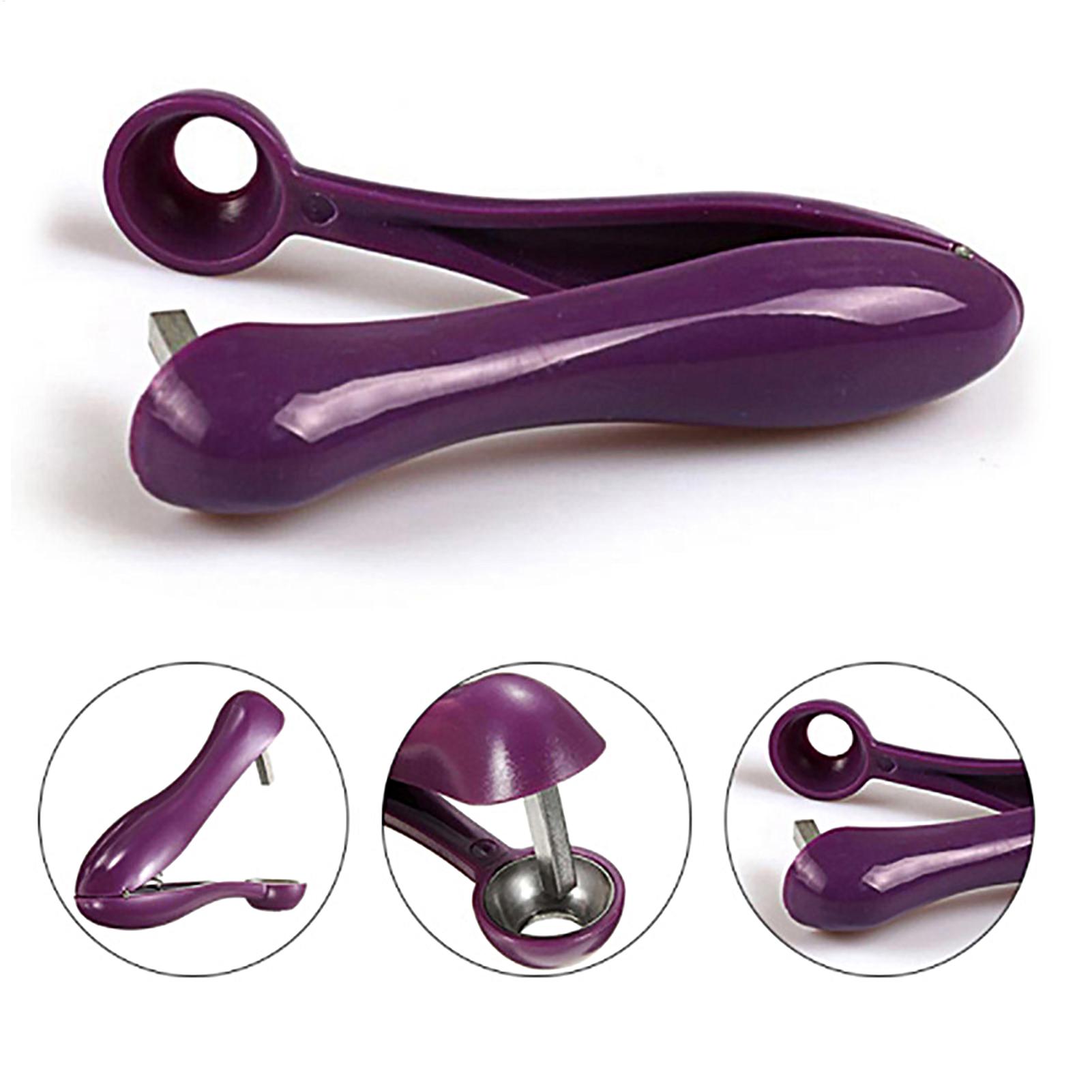 Cherry Pitter Tool - Décortiqueur de cerises portable, outil de