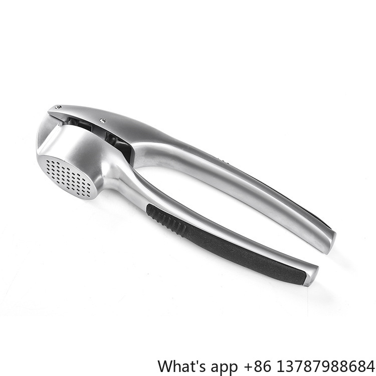 Kitchen Hand Gadgets - Presse-ail en alliage de zinc, presse-gingembre