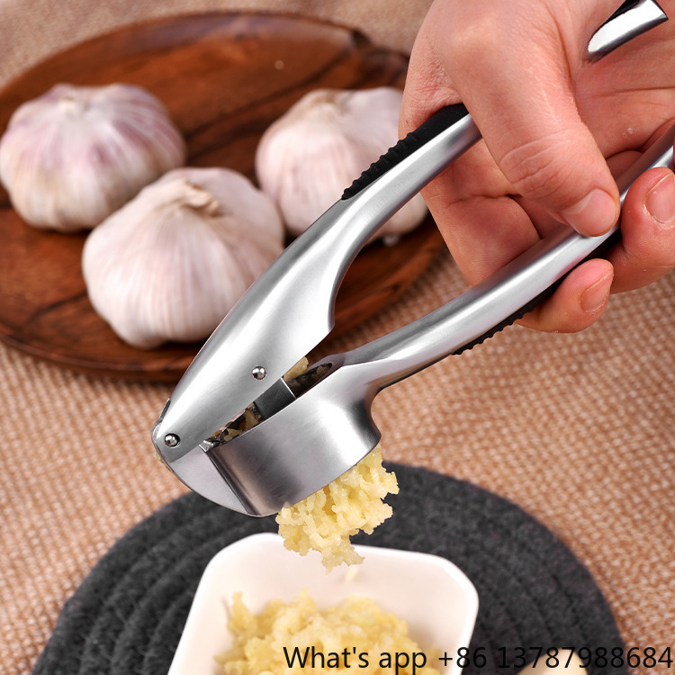 Presse-ail en alliage de zinc, - Kitchen Hand Gadgets avis et prix