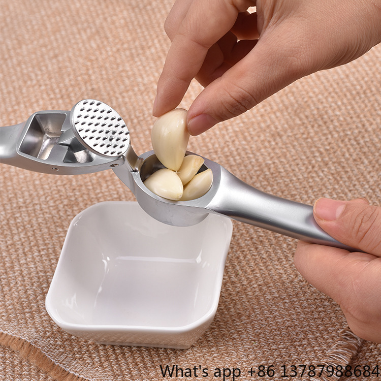 Presse-ail en alliage de zinc, - Kitchen Hand Gadgets avis et prix