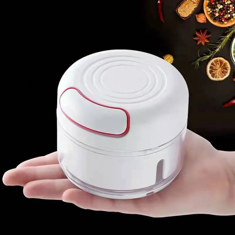 Broyeur d'ail en plastique pre - Kitchen Gadgets Vegetable Cutter avis et prix